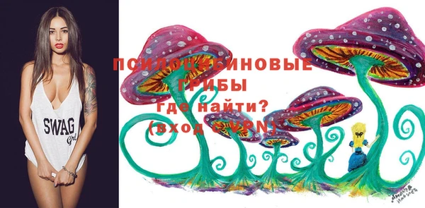 прущая мука Кукмор