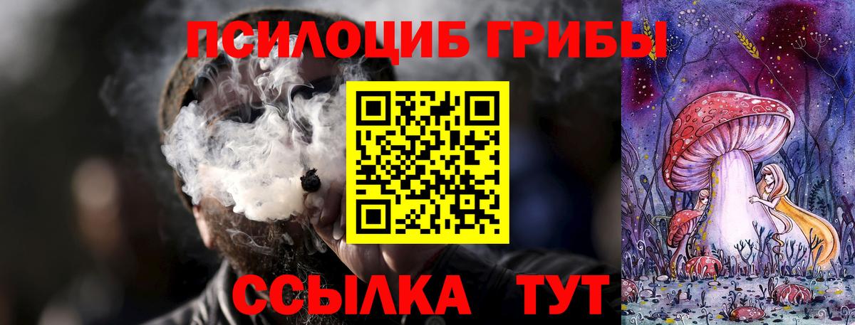Псилоцибиновые грибы Psilocybine cubensis  Вход с VPN  как найти закладки  Снежинск 
